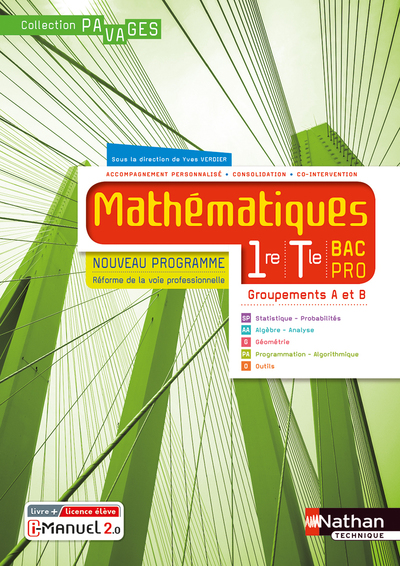 MATHEMATIQUES 1RE/TERM BAC PRO - GROUPEMENTS A ET  B (MANUEL) - (PAVAGES) - LIVRE + LICENCE ELEVE