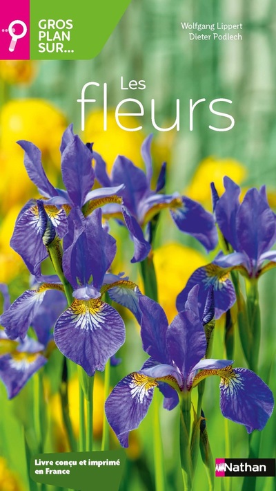 GROS PLAN SUR LES FLEURS