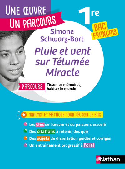 PLUIE ET VENT SUR TELUMEE