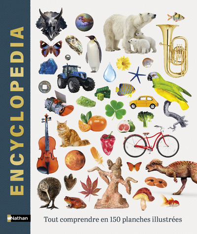 ENCYCLOPEDIA - TOUT COMPRENDRE EN 150 PLANCHES ILLUSTREES