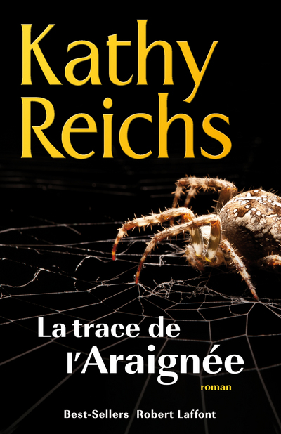LES TRACES DE L'ARAIGNEE