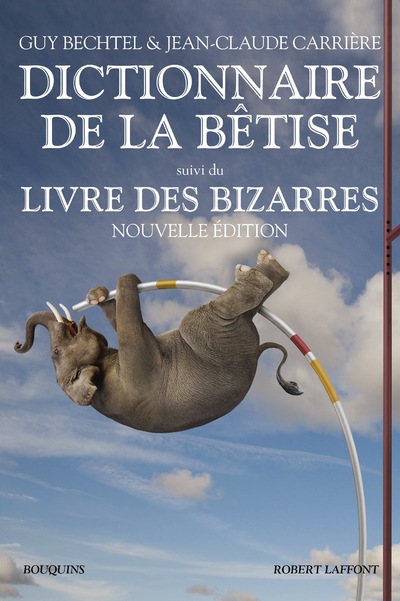 DICTIONNAIRE DE LA BETISE