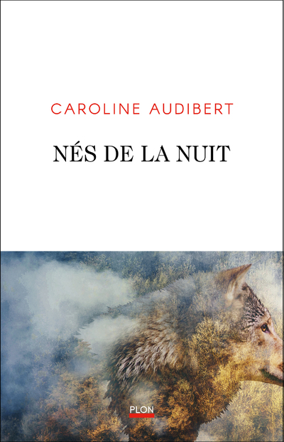 NES DE LA NUIT