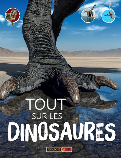 TOUT SUR LES DINOSAURES