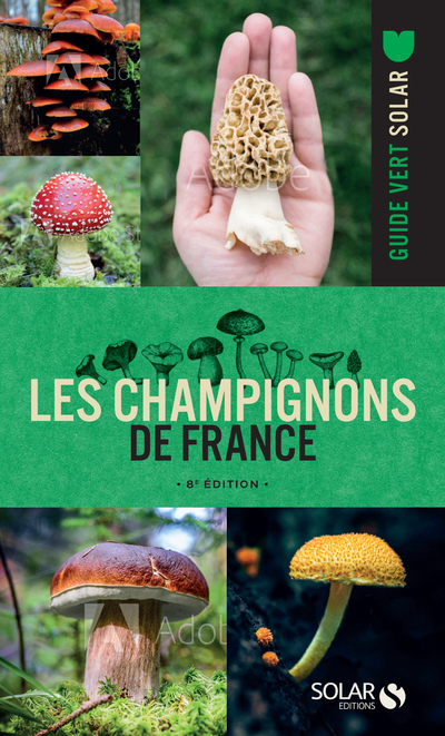 LES CHAMPIGNONS DE FRANCE - 8E EDITION