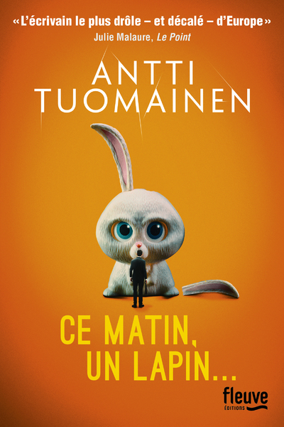 CE MATIN, UN LAPIN