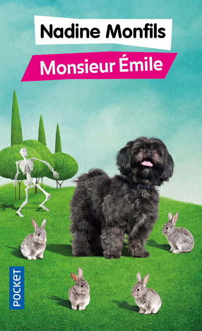 MONSIEUR EMILE