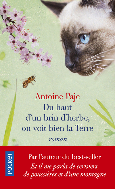 DU HAUT D'UN BRIN D'HERBE, ON VOIT BIEN LA TERRE