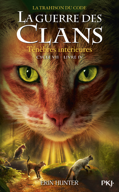GUERRE DES CLANS - CYCLE VII - TOME 4 TENEBRES INTERIEURES