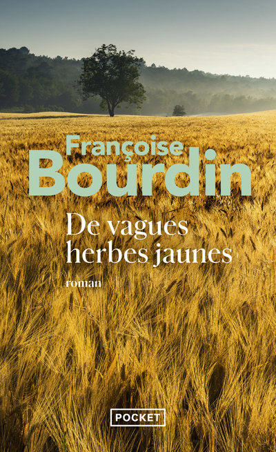 DE VAGUES HERBES JAUNES