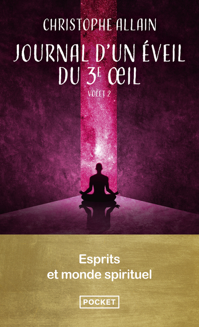 JOURNAL D'UN EVEIL DU 3E OEIL. VOL.2 - ESPRITS ET MONDE SPIRITUEL