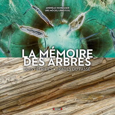 LA MEMOIRE DES ARBRES