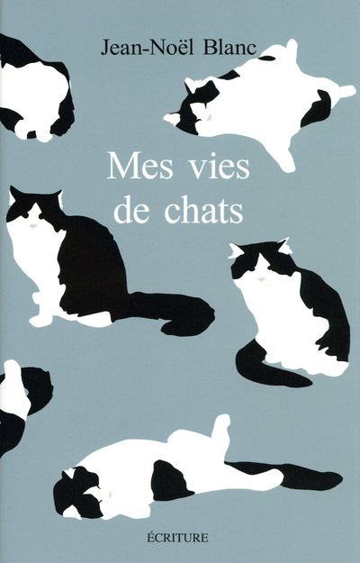 MES VIES DE CHATS