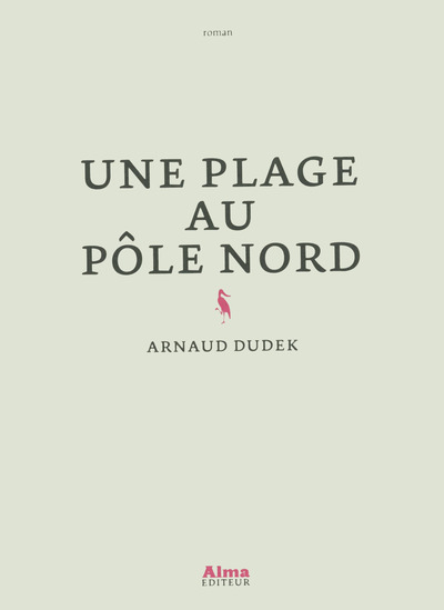 UNE PLAGE AU POLE NORD
