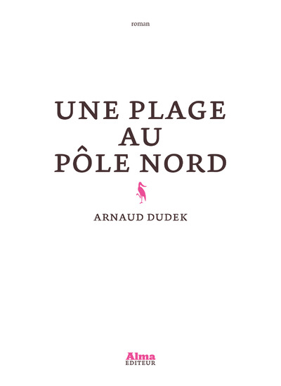 UNE PLAGE AU POLE NORD