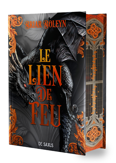 LE LIEN DE FEU (RELIE) - TOME 02 L'ACADEMIE DU SANG AILE