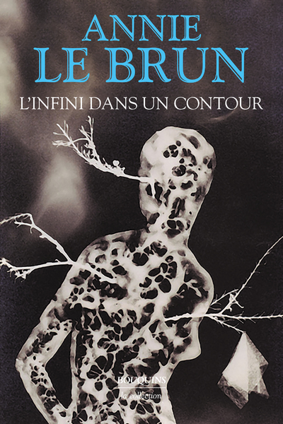 L'INFINI DANS UN CONTOUR