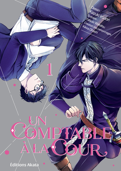 UN COMPTABLE A LA COUR - TOME 1