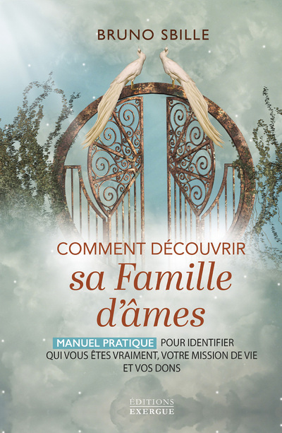 COMMENT DECOUVRIR SA FAMILLE D'AMES - MANUEL PRATIQUE POUR IDENTIFIER QUI VOUS ETES VRAIMENT, VOTRE