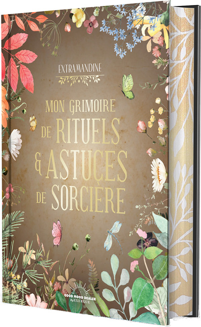 MON GRIMOIRE DE RITUELS & ASTUCES DE SORCIERE