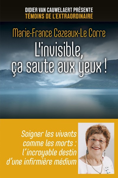 L'INVISIBLE, CA SAUTE AUX YEUX !