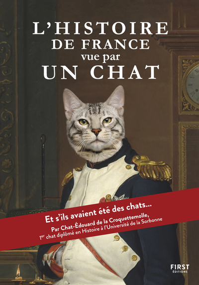 L'HISTOIRE VUE PAR UN CHAT