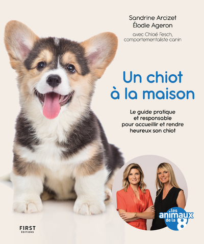 UN CHIOT A LA MAISON - LE GUIDE PRATIQUE ET RESPONSABLE POUR ACCEUILLIR ET RENDRE HEUREUX SON CHIOT