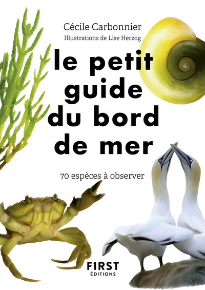 LE PETIT GUIDE DU BORD DE MER