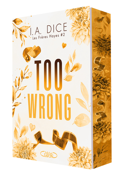 LES FRERES HAYES - TOME 2 : TOO WRONG