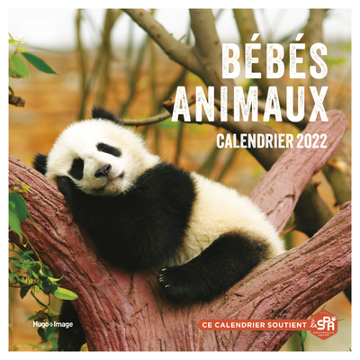 CALENDRIER MURAL BEBES ANIMAUX 2022