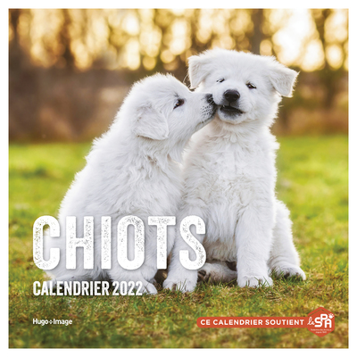 CALENDRIER MURAL CHIOTS 2022