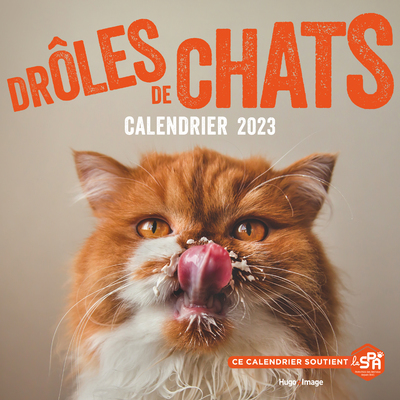 CALENDRIER MURAL - DROLES DE CHATS 2023