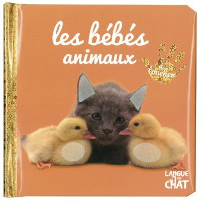 BEBE TOUCHE-A-TOUT - LES BEBES ANIMAUX - TOME 37