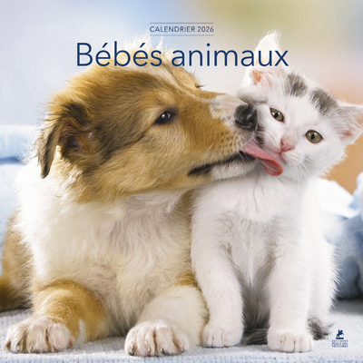 CALENDRIER BEBES ANIMAUX 2026