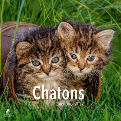 CHATONS - CALENDRIER 2022
