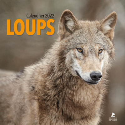 LOUPS -CALENDRIER 2022