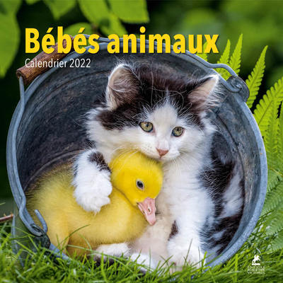 BEBES ANIMAUX -CALENDRIER 2022