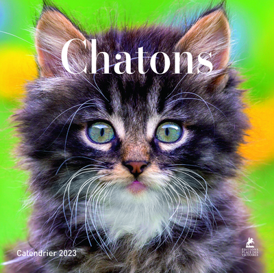 CHATONS - CALENDRIERS 2023