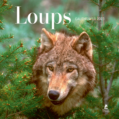 LOUPS - CALENDRIER 2023