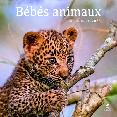 BEBES ANIMAUX - CALENDRIER 2023