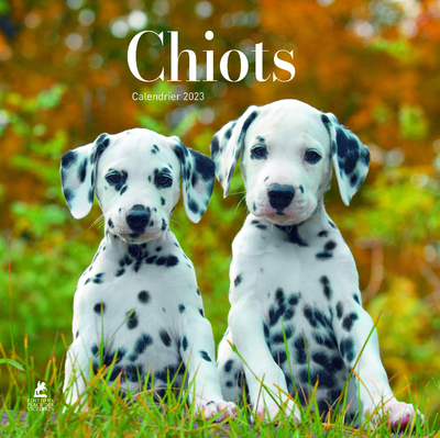 CHIOTS - CALENDRIER 2023
