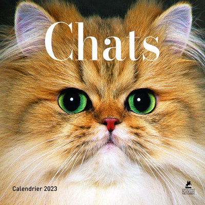 CALENDRIER CHATS - CALENDRIER 2023
