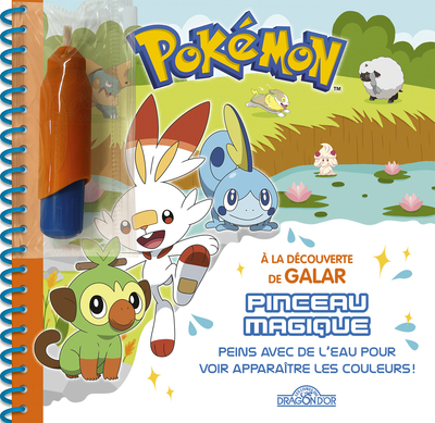 POKEMON - PINCEAU MAGIQUE -  LA DECOUVERTE DE GALAR