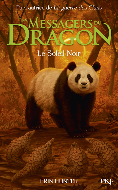 LES MESSAGERS DU DRAGON, CYCLE 1 - TOME 4 LE SOLEIL NOIR