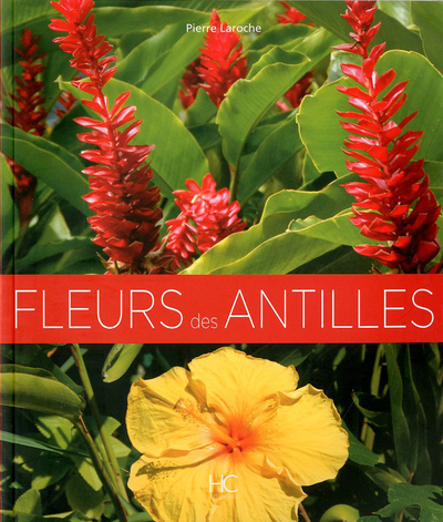 FLEURS DES ANTILLES