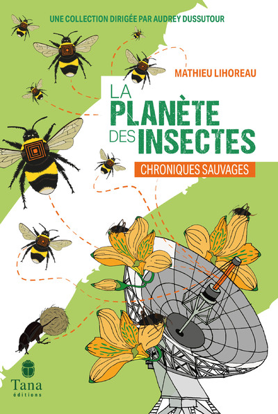 LA PLANETE DES INSECTES