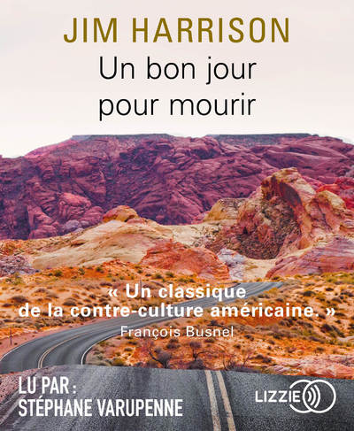 UN BON JOUR POUR MOURIR